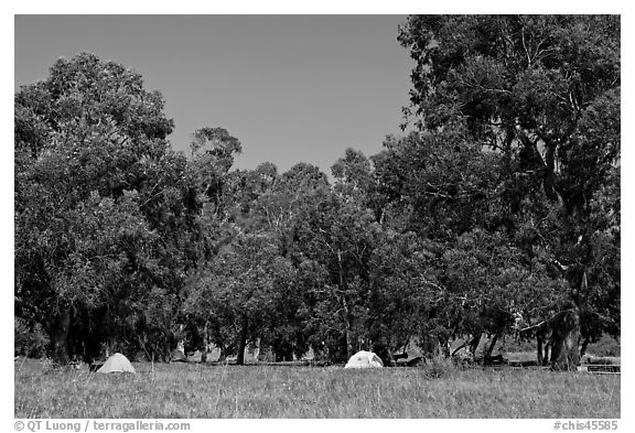 Campground in Scorpion Canyon, Santa Cruz Island. Channel Islands National Park (black and white)