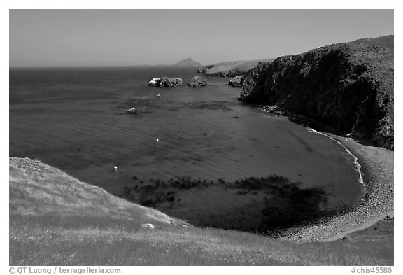 Aquamarine waters and kelp in bay, Scorpion Anchorage, Santa Cruz Island. Channel Islands National Park, California, USA.