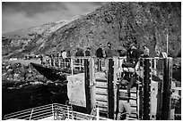 Unloading via human chain, Scorpion Anchorage, Santa Cruz Island. Channel Islands National Park ( black and white)