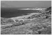 View over Skunk Point from marine terrace, Santa Rosa Island. Channel Islands National Park ( black and white)