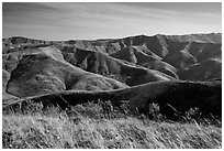 Soledad Peak range from Black Mountain, Santa Rosa Island. Channel Islands National Park ( black and white)