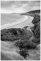 Stream and Water Canyon Beach, Santa Rosa Island. Channel Islands National Park ( black and white)