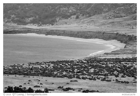 Bechers Bay, Santa Rosa Island. Channel Islands National Park (black and white)