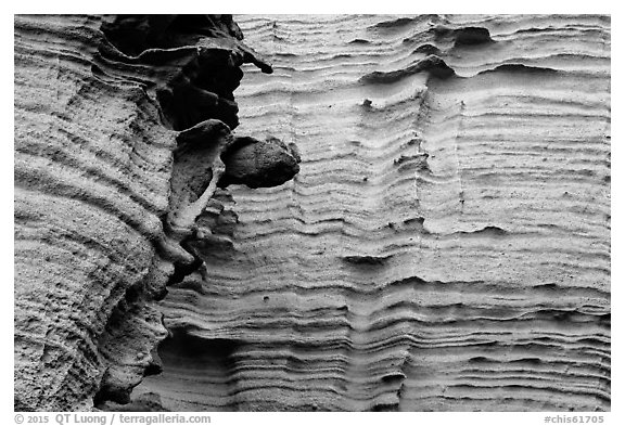 Detail of water-sculptured canyon wall, Lobo Canyon, Santa Rosa Island. Channel Islands National Park (black and white)