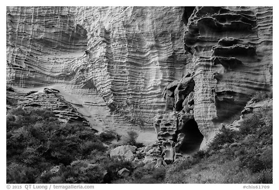 Base of sculpted sandstone cliffs, Lobo Canyon, Santa Rosa Island. Channel Islands National Park (black and white)
