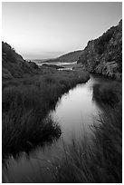 Wetland at he bottom of Water Canyon, and Ocean, sunrise, Santa Rosa Island. Channel Islands National Park ( black and white)