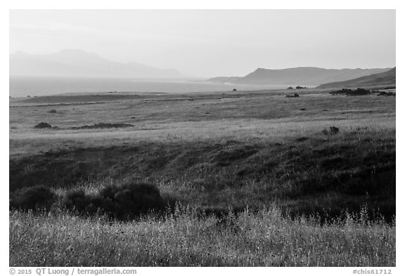 Grasses, Skunk Point, and Santa Cruz Island, sunrise, Santa Rosa Island. Channel Islands National Park (black and white)