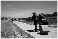 Campers haul gear, Santa Rosa Island. Channel Islands National Park ( black and white)