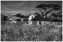 Vail and Vickers Ranch house, Santa Rosa Island. Channel Islands National Park ( black and white)