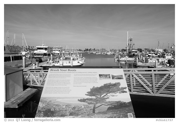Invasive species interpretive sign, Ventura Harbor. Channel Islands National Park (black and white)