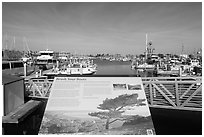 Invasive species interpretive sign, Ventura Harbor. Channel Islands National Park ( black and white)