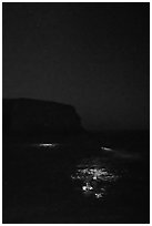 Night diving with lights, Santa Barbara Island. Channel Islands National Park ( black and white)