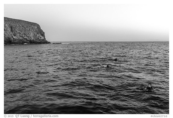Divers surface at dawn, Santa Barbara Island. Channel Islands National Park (black and white)
