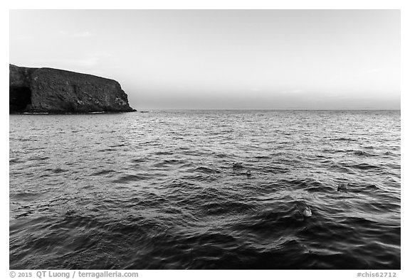 Seabirds at dawn, Santa Barbara Island. Channel Islands National Park (black and white)