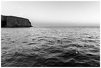 Seabirds at dawn, Santa Barbara Island. Channel Islands National Park ( black and white)