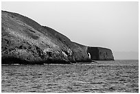 Arch Point at sunrise, Santa Barbara Island. Channel Islands National Park ( black and white)