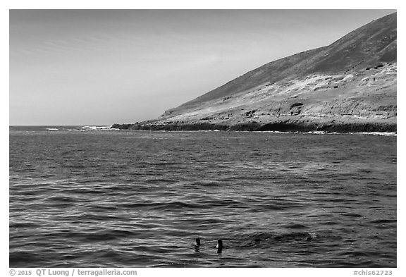 Sea lions and Santa Barbara Island. Channel Islands National Park (black and white)