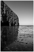 Sea cliff and kelp, Santa Cruz Island. Channel Islands National Park ( black and white)