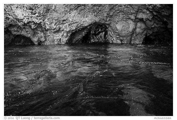 Clear waters, kelp, annd sea caves, Santa Cruz Island. Channel Islands National Park (black and white)