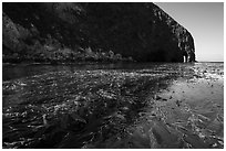 Kelp bed on ocean surface and sea cliff, Santa Cruz Island. Channel Islands National Park ( black and white)