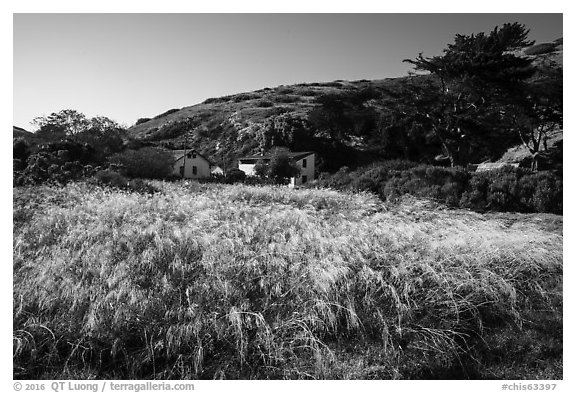Grasses and former ranch, Scorpion Canyon, Santa Cruz Island. Channel Islands National Park (black and white)