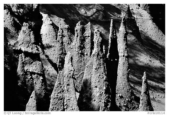 Pumice and ash pipes cemented by volcanic gasses. Crater Lake National Park, Oregon, USA.