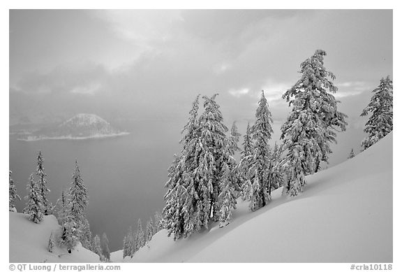 Snow-covered trees and misty lake at sunset. Crater Lake National Park, Oregon, USA.