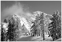 Trees, cabin, and Mt Garfield in winter. Crater Lake National Park, Oregon, USA. (black and white)