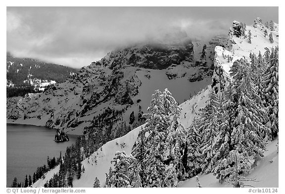 Trees and cliffs in winter. Crater Lake National Park, Oregon, USA.