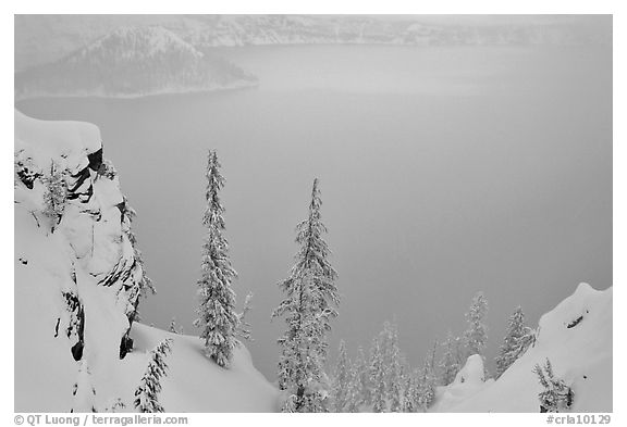 Trees and mistly lake in winter. Crater Lake National Park, Oregon, USA.