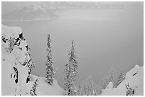 Trees and mistly lake in winter. Crater Lake National Park, Oregon, USA. (black and white)