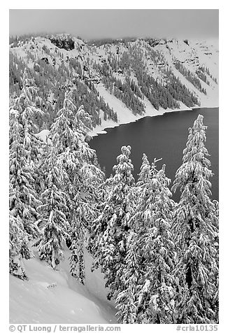 Trees and Lake rim in winter. Crater Lake National Park, Oregon, USA.