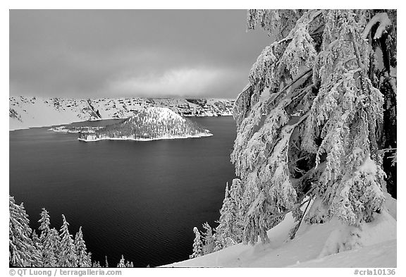 Trees and Wizard Island in winter with clouds and dark waters. Crater Lake National Park, Oregon, USA.