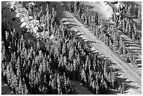 Slope covered with trees in winter. Crater Lake National Park, Oregon, USA. (black and white)