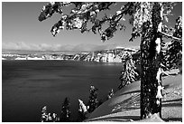 Pine tree with fresh snow on  lake rim. Crater Lake National Park, Oregon, USA. (black and white)