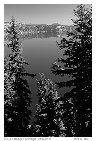 Trees and Lake. Crater Lake National Park, Oregon, USA.