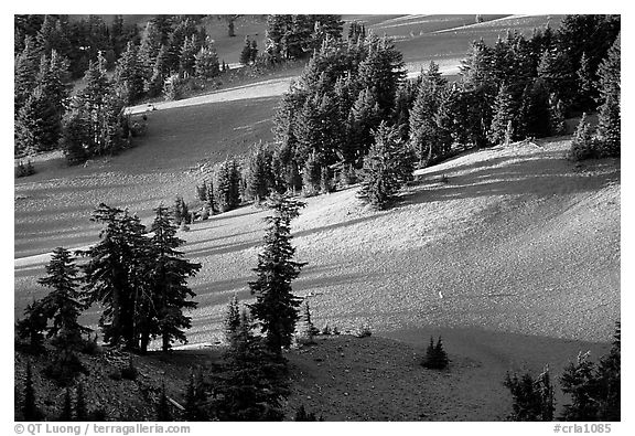 Volcanic hills and pine trees. Crater Lake National Park (black and white)