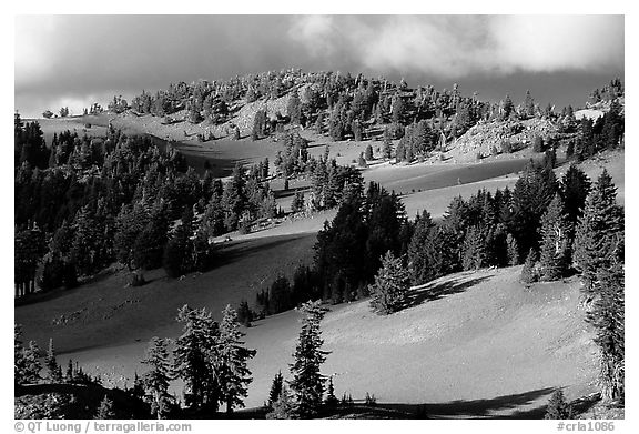 Volcanic hills and pine trees. Crater Lake National Park (black and white)