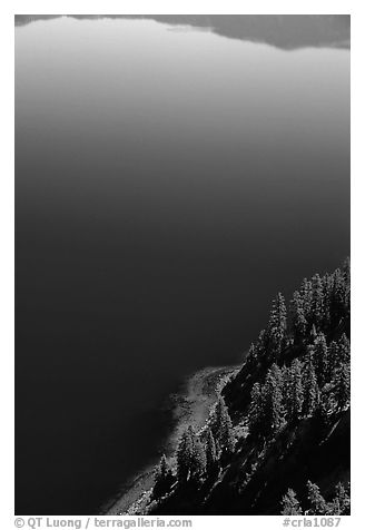 Trees and blue lake waters. Crater Lake National Park, Oregon, USA.