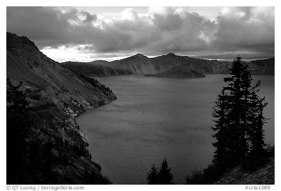 Tree, lake and clouds, Sun Notch. Crater Lake National Park, Oregon, USA.