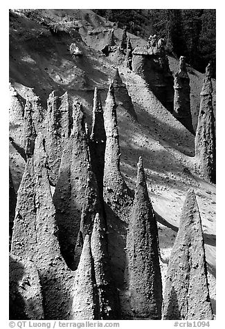 Ancient fossilized vents. Crater Lake National Park (black and white)