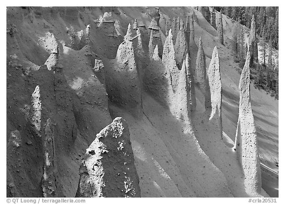 Vertical columns of volcanic origin. Crater Lake National Park (black and white)