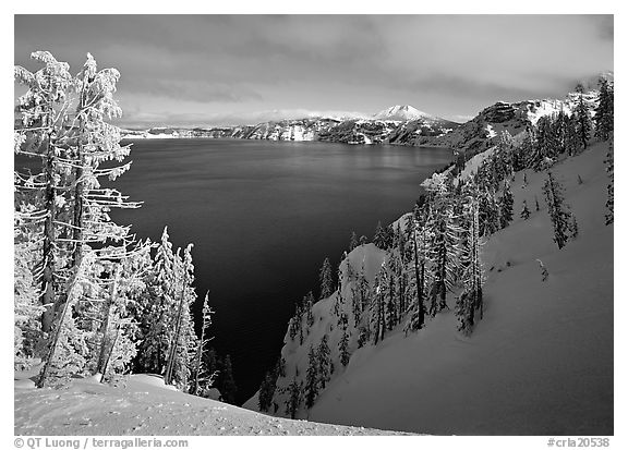 Snow-covered trees and dark lake waters. Crater Lake National Park (black and white)