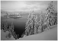 Trees, Wizard Island, and lake, winter dusk. Crater Lake National Park, Oregon, USA. (black and white)