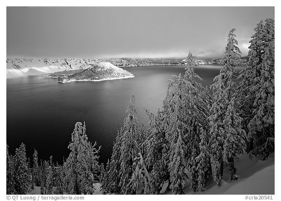 Conifers, Lake and Wizard Island, winter sunrise. Crater Lake National Park, Oregon, USA.