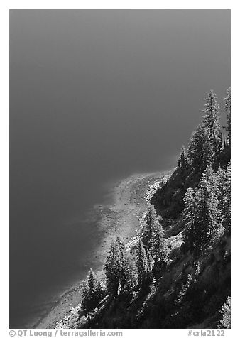 Pine trees and blue waters. Crater Lake National Park, Oregon, USA.