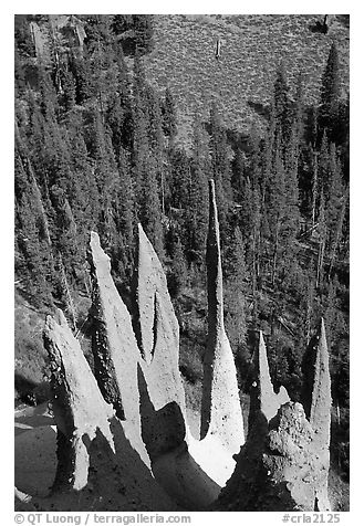 Needle-like formations of rock. Crater Lake National Park (black and white)