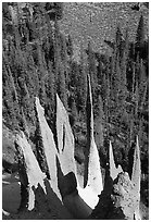 Needle-like formations of rock. Crater Lake National Park, Oregon, USA. (black and white)