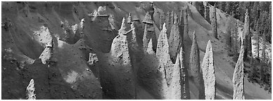 Cluster of volcanic columns. Crater Lake National Park (Panoramic black and white)