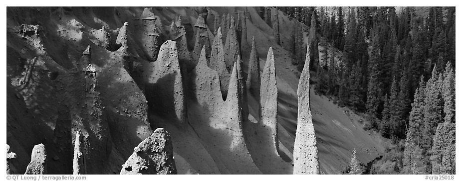 Fossil fumaroles. Crater Lake National Park (black and white)